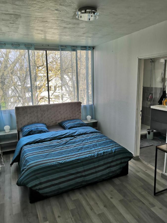 Chambre D'Hote Au Parc Des Thibaudieres Boussy-Saint-Antoine Dış mekan fotoğraf