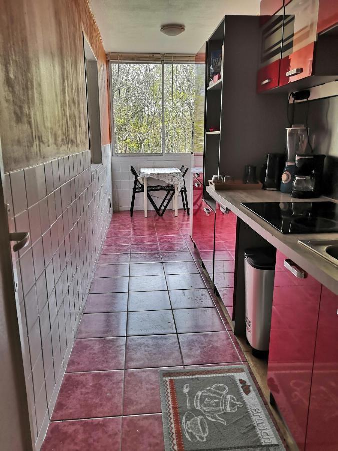 Chambre D'Hote Au Parc Des Thibaudieres Boussy-Saint-Antoine Dış mekan fotoğraf